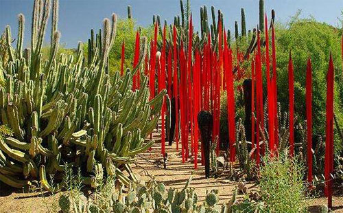 沙漠植物园
