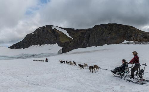 温哥华到阿拉斯加旅游费用是多少 阿拉斯加雪橇